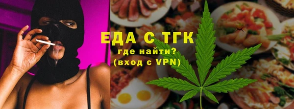 хмурый Пересвет