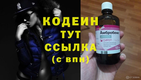 хмурый Пересвет