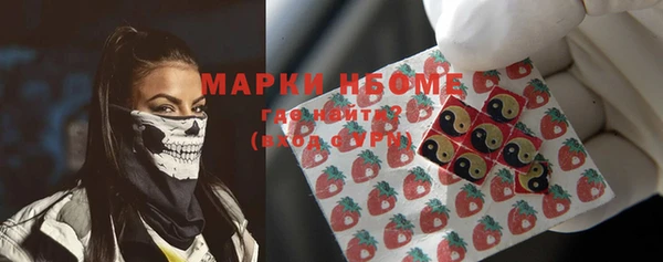 дурь Пестово