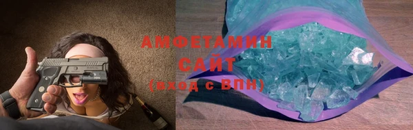 хмурый Пересвет