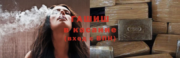 хмурый Пересвет