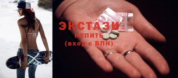хмурый Пересвет