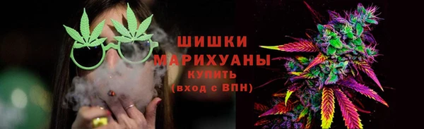 дурь Пестово