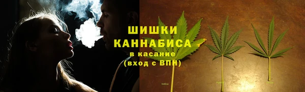 хмурый Пересвет