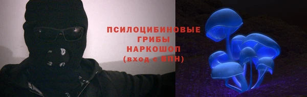 хмурый Пересвет