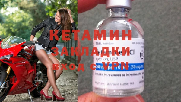хмурый Пересвет