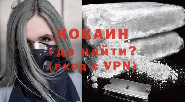 хмурый Пересвет