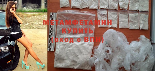 хмурый Пересвет