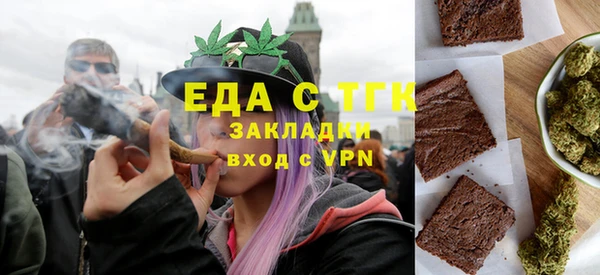 хмурый Пересвет
