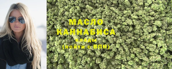 хмурый Пересвет