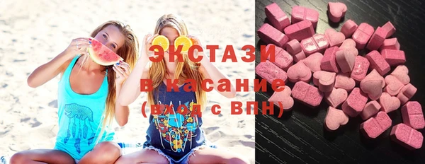 хмурый Пересвет
