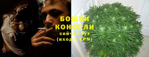 хмурый Пересвет