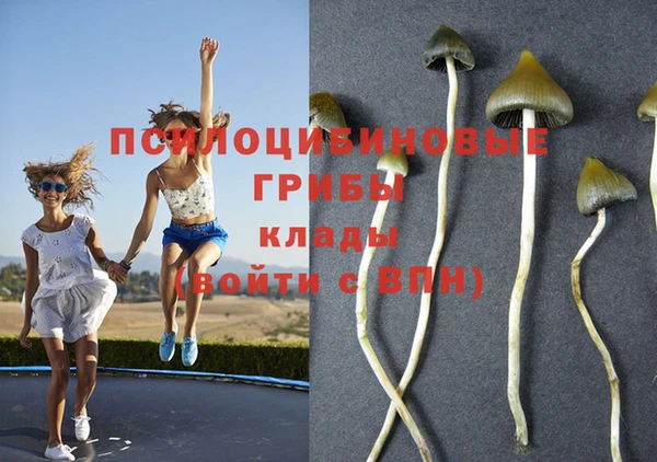 прущая мука Переславль-Залесский