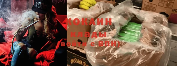 хмурый Пересвет