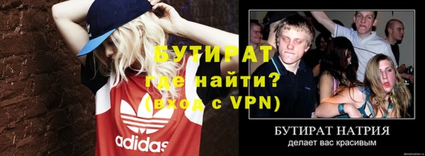 хмурый Пересвет