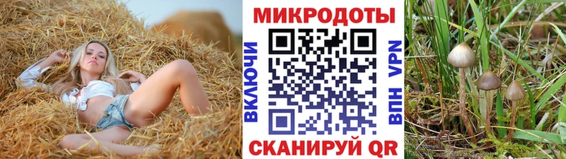 Галлюциногенные грибы MAGIC MUSHROOMS  Чегем 
